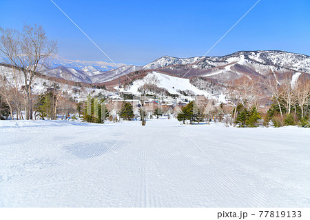 志賀高原 タンネの森オコジョスキー場(長野県山ノ内町)【2021.3】 77819133