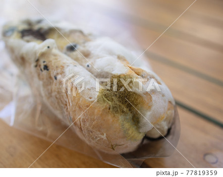 Closeup moldy bun in plastic pack, isolated bread with moldy, fungi texture Closeup moldy bun in plastic pack, isolated bread with moldy, fungi texture 77819359