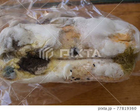 Closeup moldy bun in plastic pack, isolated bread with moldy, fungi texture 77819360