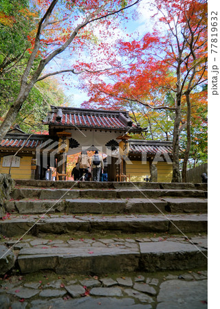 きれいな紅葉景色_永源寺 きれいな紅葉景色_永源寺 77819632