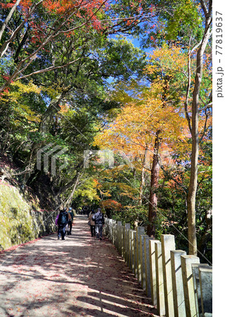 きれいな紅葉景色_永源寺 77819637