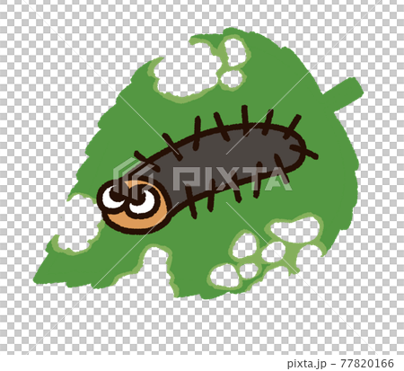 毛虫と虫食いだらけの葉っぱ 77820166