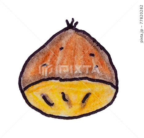 色鉛筆手書きの栗のイラスト素材 7702