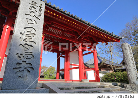 四国霊場第84番札所「屋島寺」東大門（早朝） 77820362