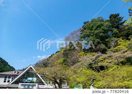 高尾山の清滝駅 高尾山の清滝駅 77820416