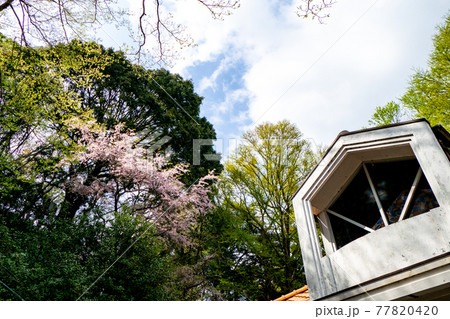 高尾山の山上駅 高尾山の山上駅 77820420