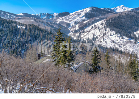 Snow covered mountain with rooftop of home peaking through trees and evergreens 77820579