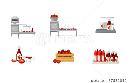 Ketchup Manufacturing Process with Tomato Harvesting, Washing and Squeezing Vector Illustration Set Ketchup Manufacturing Process with Tomato Harvesting, Washing and Squeezing Vector Illustration Set 77822052