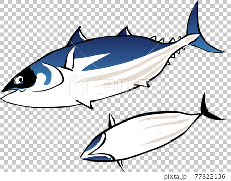 浮世絵　魚　その5 77822136