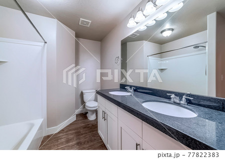 Bathroom with bathtub in front of vanity area with double oval sink and mirror Bathroom with bathtub in front of vanity area with double oval sink and mirror 77822383
