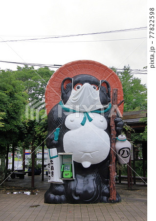 信楽焼のタヌキ 77822598