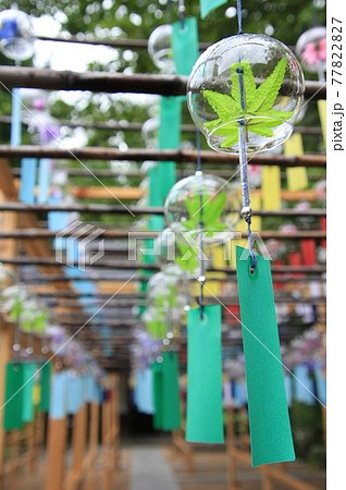 ハート窓で有名な正寿院 77822827