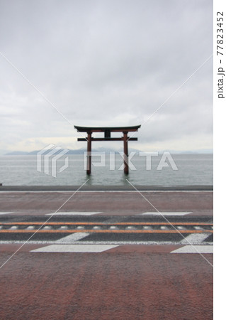 滋賀県高島市白髭神社 77823452