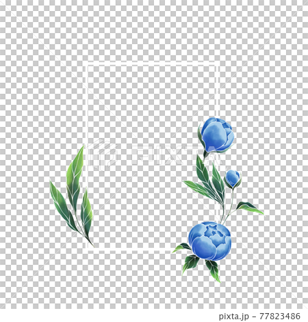 Frame with blue peony flowers on black, watercolor style. Greeting card template Frame with blue peony flowers on black, watercolor style. Greeting card template 77823486