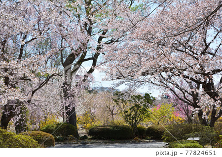 緑水苑へ行きました　　＃140 77824651