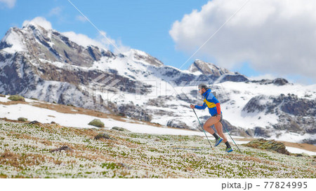 Trail athlete in the uphill mountains with sticks Trail athlete in the uphill mountains with sticks 77824995