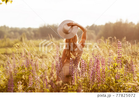 A young girl in a light dress and a hat on a lupine field looks at the sunset. Rear view, space for text A young girl in a light dress and a hat on a lupine field looks at the sunset. Rear view, space for text 77825072