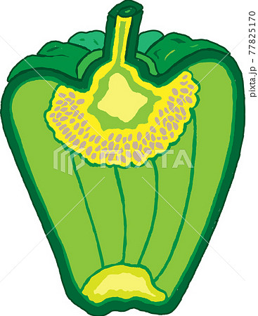 ピーマン02 77825170