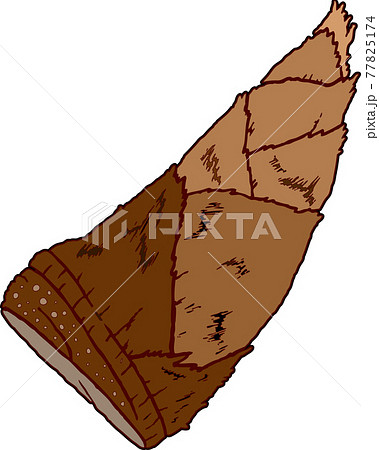 タケノコ 77825174