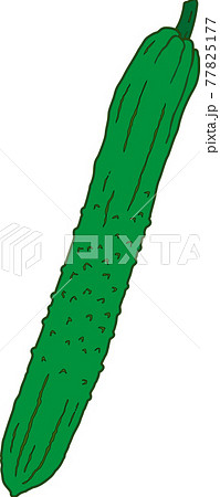 きゅうり 77825177