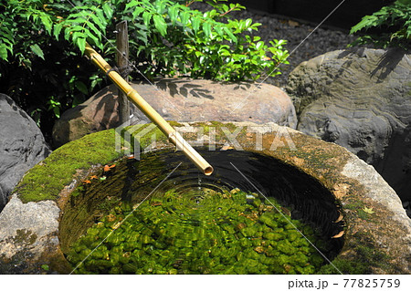 5月 品川421つくばい 手水鉢 池田山公園の写真素材