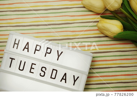 Happy Tuesday text in lightbox with space copy flat lay on colorful background Happy Tuesday text in lightbox with space copy flat lay on colorful background 77826200