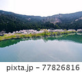 空から見る、滋賀県「余呉湖の桜」 77826816