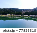 空から見る、滋賀県「余呉湖の桜」 77826818