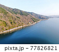 空から見る、滋賀県海津大崎「琵琶湖岸を彩る桜の景色」 77826821