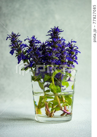 Summer background with blue flowers 77827085