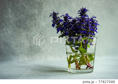 Summer background with blue flowers Summer background with blue flowers 77827086