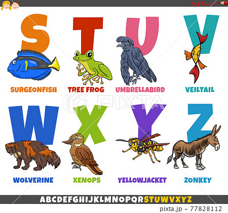 Educational Cartoon Alphabet Set With Animal Stock Illustration 77828112 Pixta