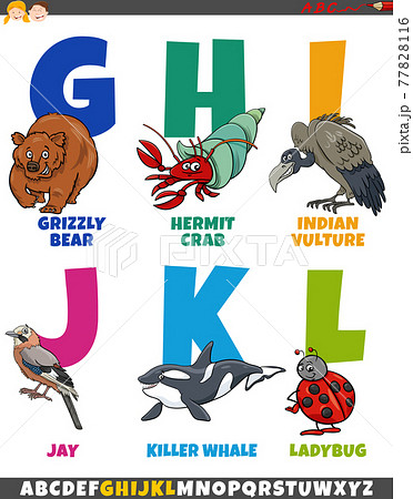 cartoon alphabet set with funny animal characters 77828116