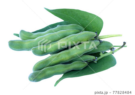 mucuna pruriens or velvet bean isolated on white 77828484