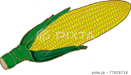 トウモロコシ 77828718