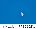 夕方の半月 77829251