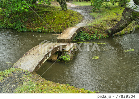 衆楽園の池に架かる小さな太鼓橋　岡山県津山市 77829504