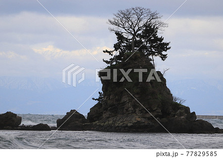 風景・富山県、雨晴海岸の女岩(めいわ) 風景・富山県、雨晴海岸の女岩(めいわ) 77829585