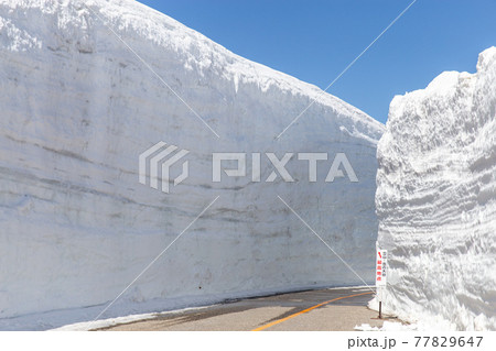 雪の大谷 77829647