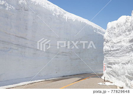 雪の大谷 77829648