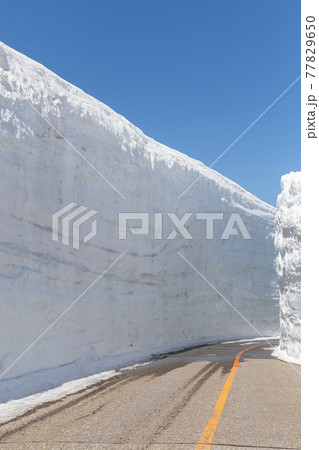 雪の大谷 雪の大谷 77829650