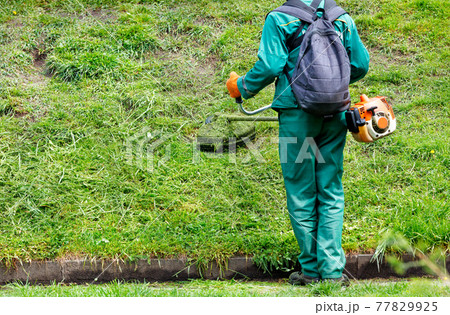 A worker mows green grass with a gasoline trimmer. A worker mows green grass with a gasoline trimmer. 77829925