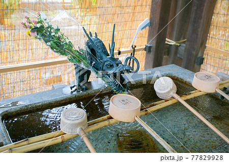 北海道 札幌諏訪神社の手水舎 北海道 札幌諏訪神社の手水舎 77829928