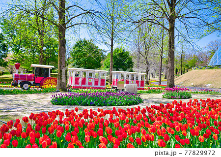 フラワードームの前を走るフラワートレイン（鳥取県） 77829972