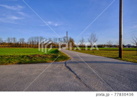 夕暮れ時の田舎道 77830436