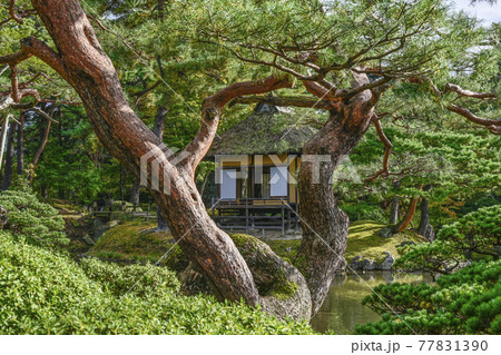 国指定名勝　会津松平氏庭園　御薬園（会津若松市） 77831390