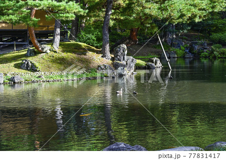 国指定名勝　会津松平氏庭園　御薬園（会津若松市） 77831417