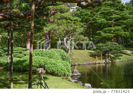 国指定名勝　会津松平氏庭園　御薬園（会津若松市） 77831425