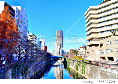 なかめ公園橋／目黒川より上流方面を望む(東京都目黒区)【2020.12】 77831724