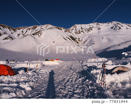 残雪の立山黒部アルペンルート　雷鳥沢キャンプ場から立山連峰を望む 77831944
